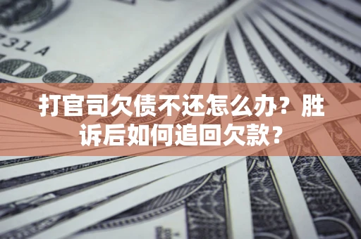 武汉打官司欠债不还怎么办？胜诉后如何追回欠款？