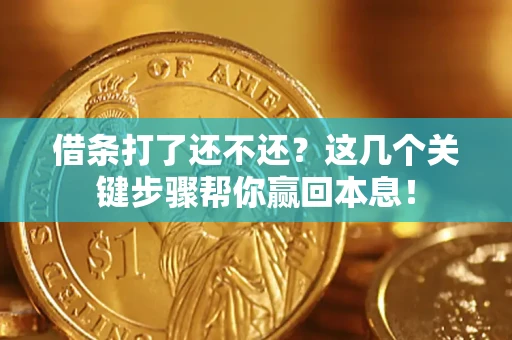 武汉借条打了还不还？这几个关键步骤帮你赢回本息！