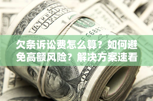 武汉欠条诉讼费怎么算？如何避免高额风险？解决方案速看！