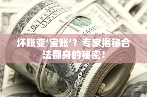 武汉坏账变‘宝账’？专家揭秘合法翻身的秘密！