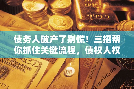 武汉债务人破产了别慌！三招帮你抓住关键流程，债权人权益不再缩水