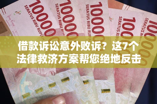 武汉借款诉讼意外败诉？这7个法律救济方案帮您绝地反击！