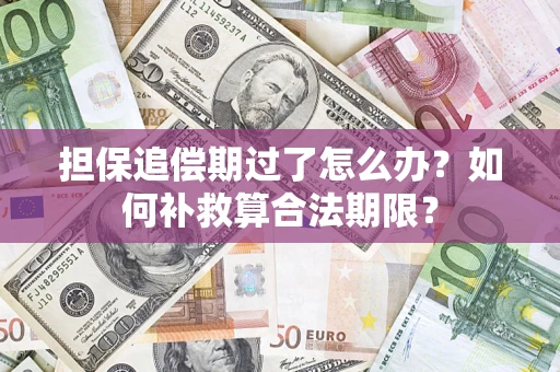 武汉担保追偿期过了怎么办？如何补救算合法期限？