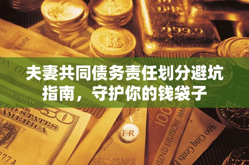 武汉夫妻共同债务责任划分避坑指南，守护你的钱袋子