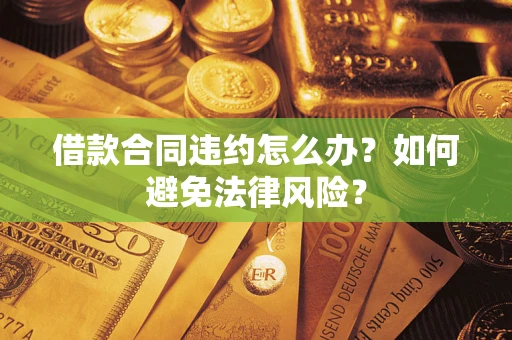 武汉借款合同违约怎么办？如何避免法律风险？