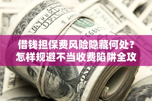 武汉借钱担保费风险隐藏何处？怎样规避不当收费陷阱全攻略！