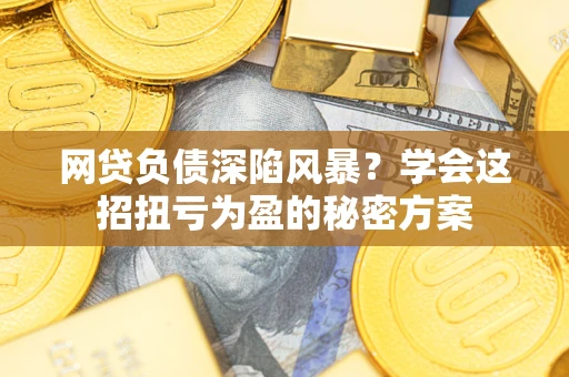 武汉网贷负债深陷风暴？学会这招扭亏为盈的秘密方案